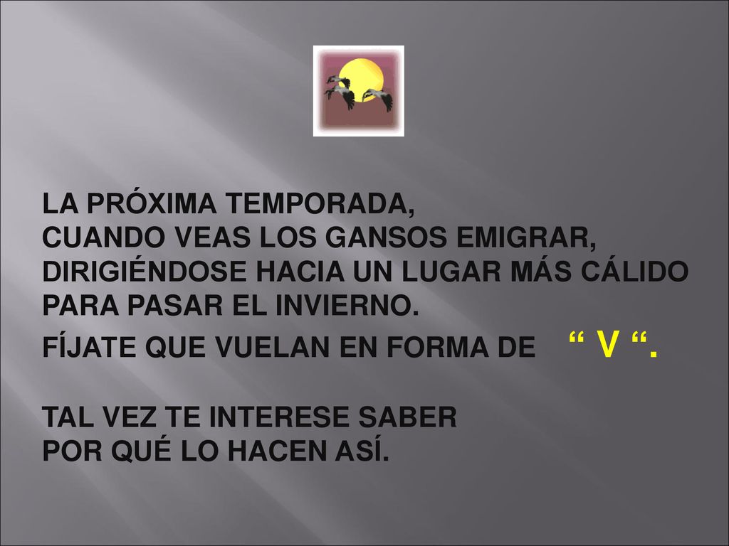 LA PRÓXIMA TEMPORADA, CUANDO VEAS LOS GANSOS EMIGRAR, DIRIGIÉNDOSE HACIA UN LUGAR MÁS CÁLIDO. PARA PASAR EL INVIERNO.