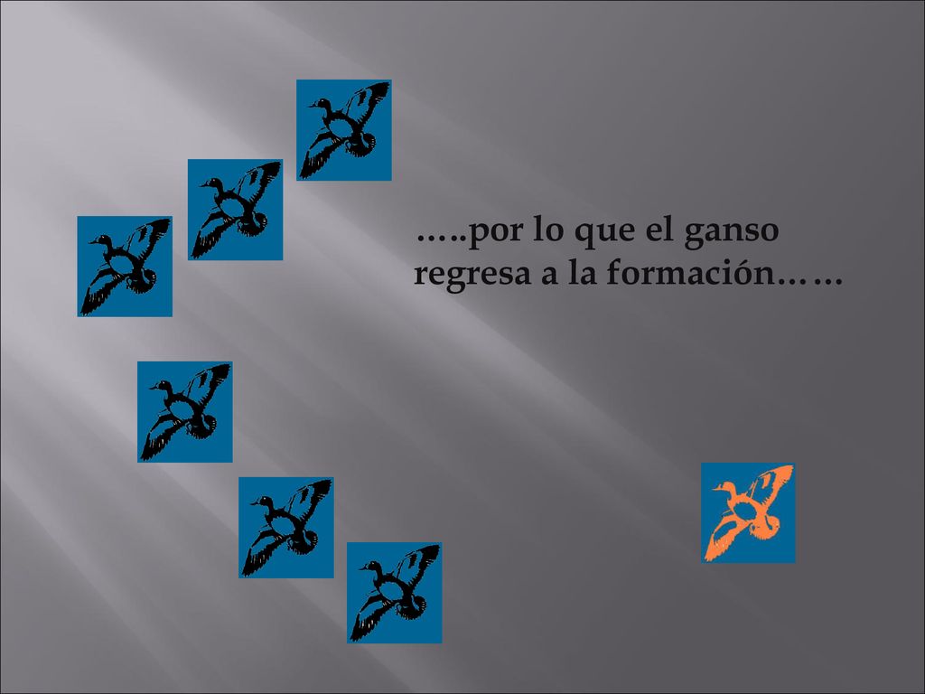 …..por lo que el ganso regresa a la formación……