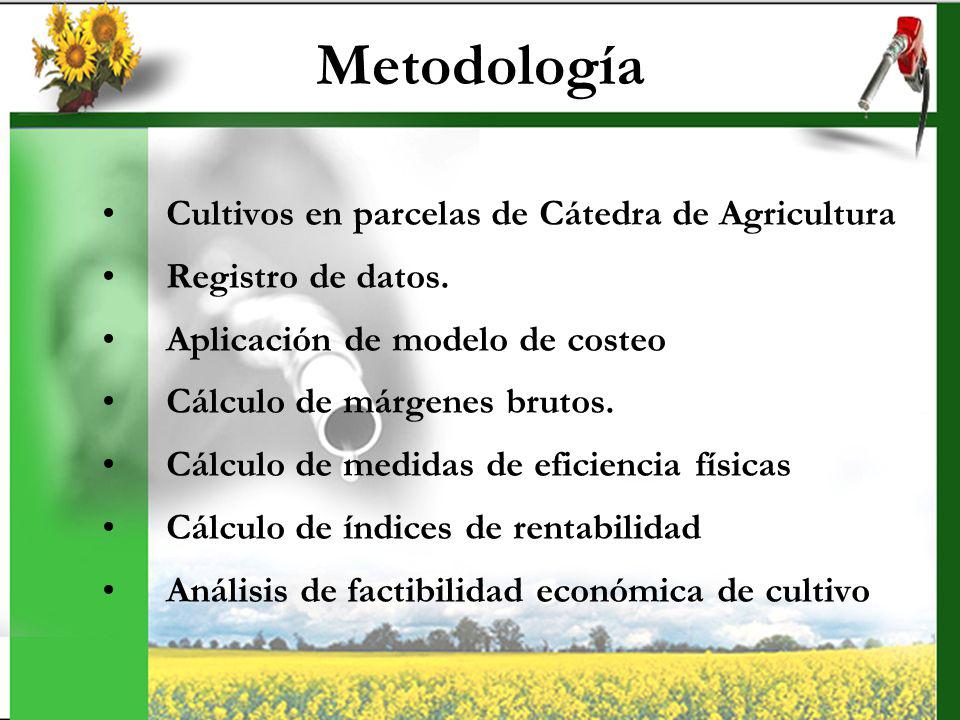Metodología Cultivos en parcelas de Cátedra de Agricultura