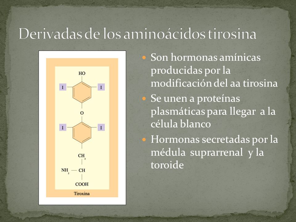 Derivadas de los aminoácidos tirosina