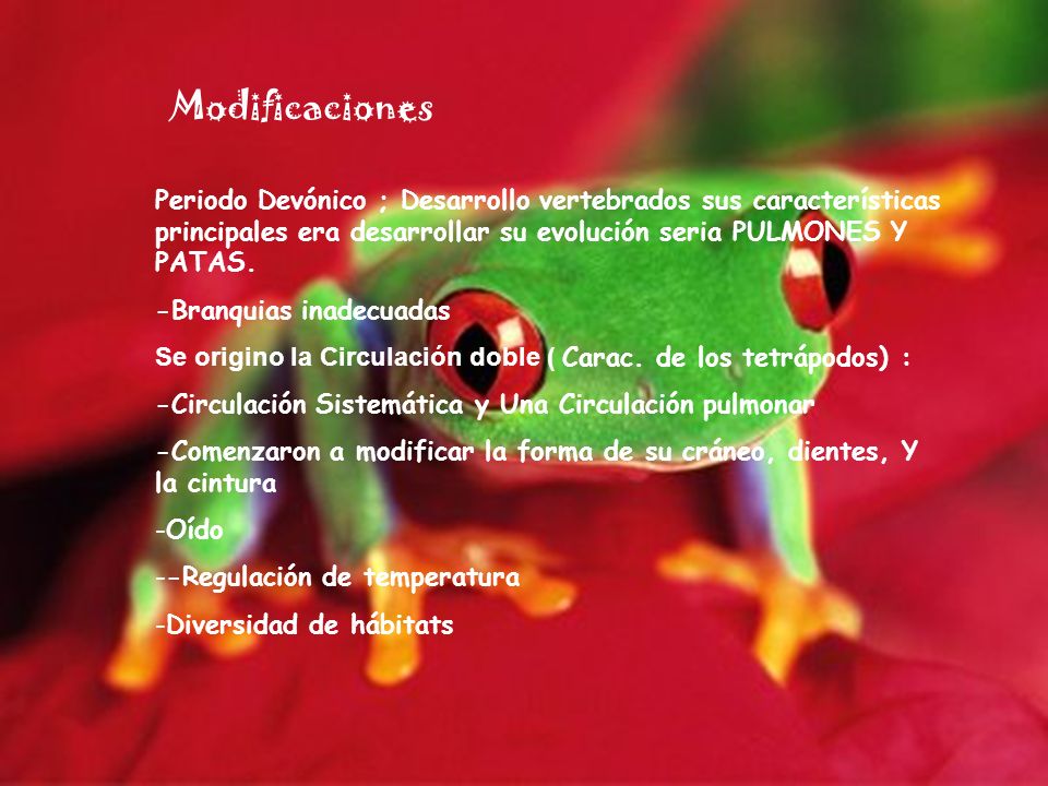 Modificaciones Periodo Devónico ; Desarrollo vertebrados sus características principales era desarrollar su evolución seria PULMONES Y PATAS.