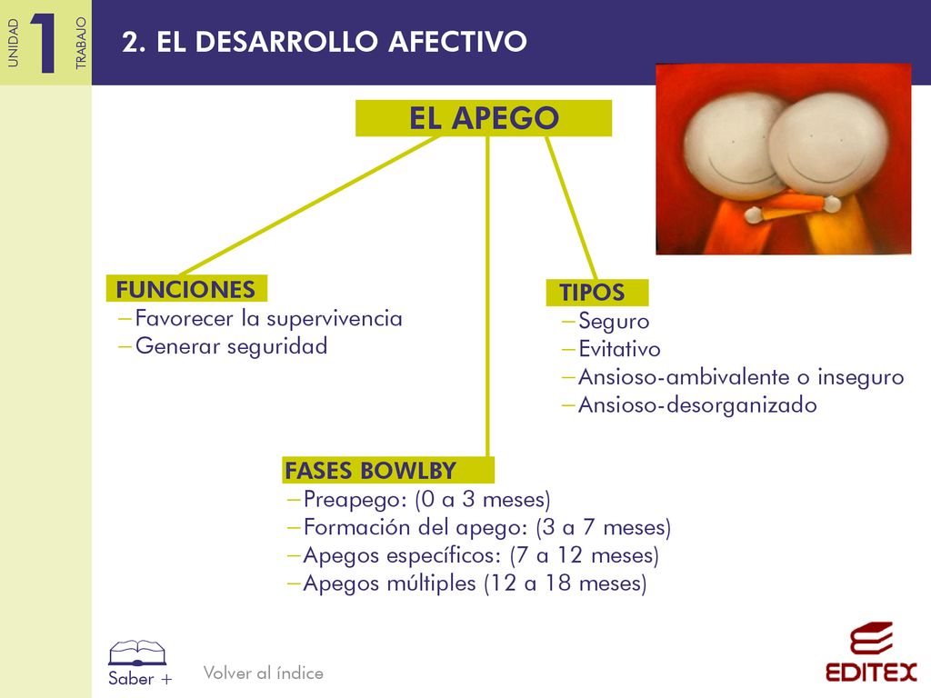 EL APEGO 2. EL DESARROLLO AFECTIVO FUNCIONES TIPOS