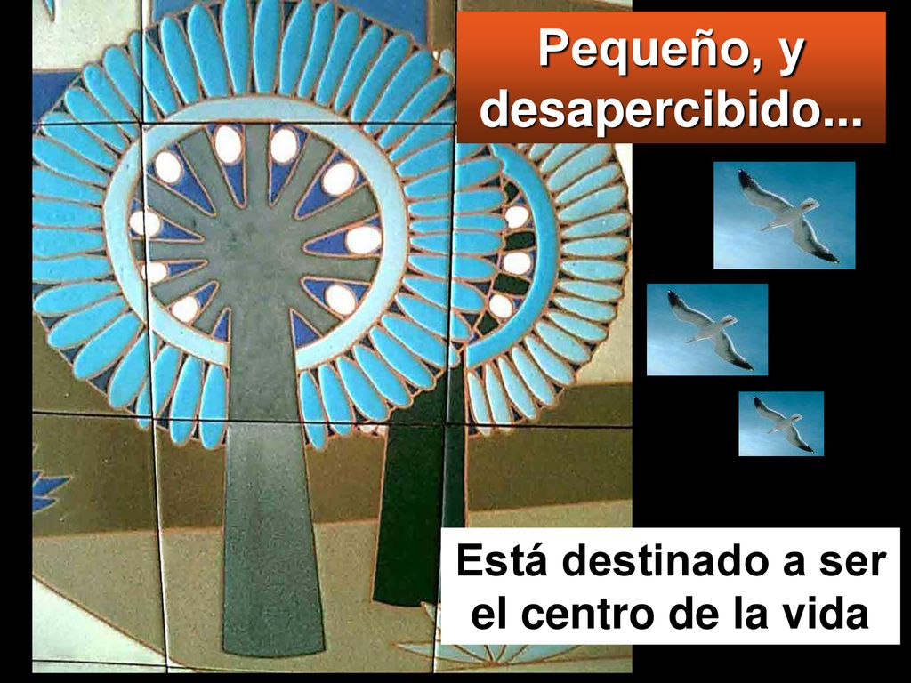Pequeño, y desapercibido... Está destinado a ser el centro de la vida