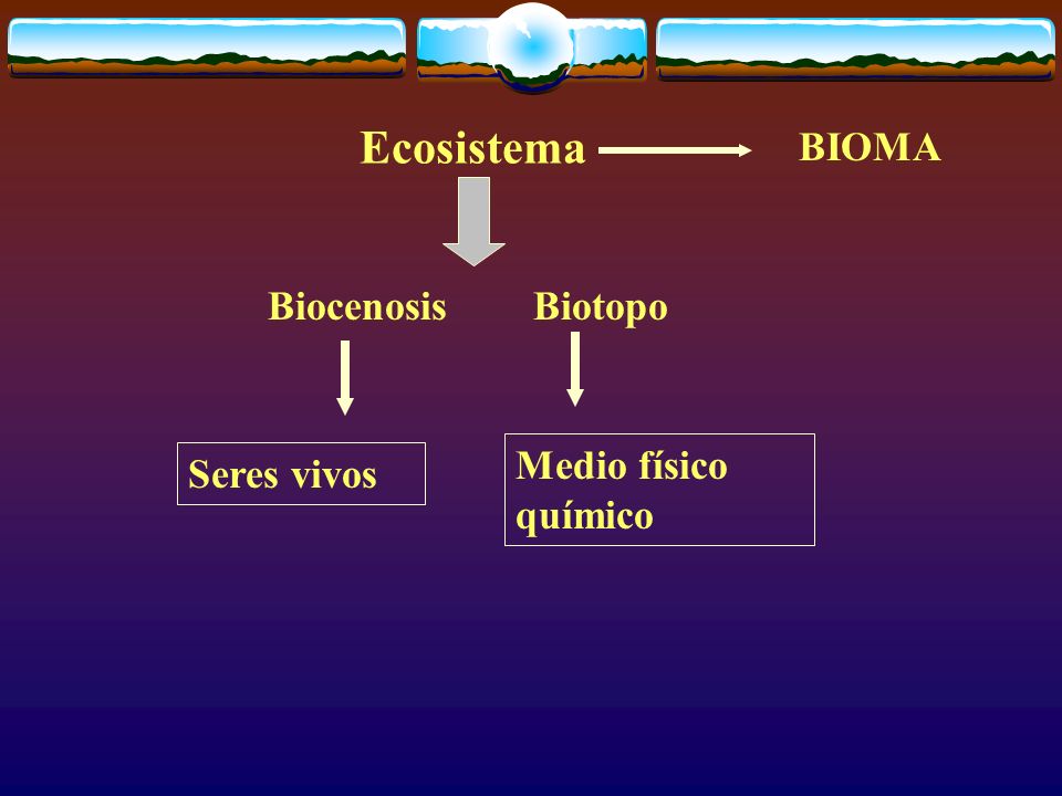 Ecosistema BIOMA Biocenosis Biotopo Medio físico químico Seres vivos