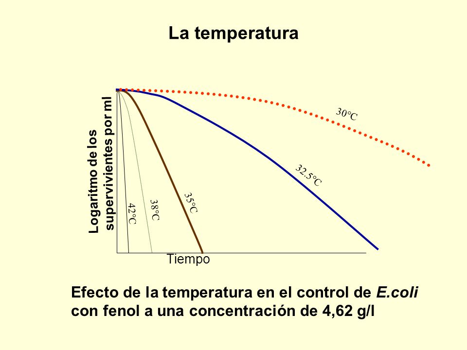 La temperatura Logaritmo de los supervivientes por ml. 42°C. 38°C. 35°C. 30°C. 32.5°C. Tiempo.