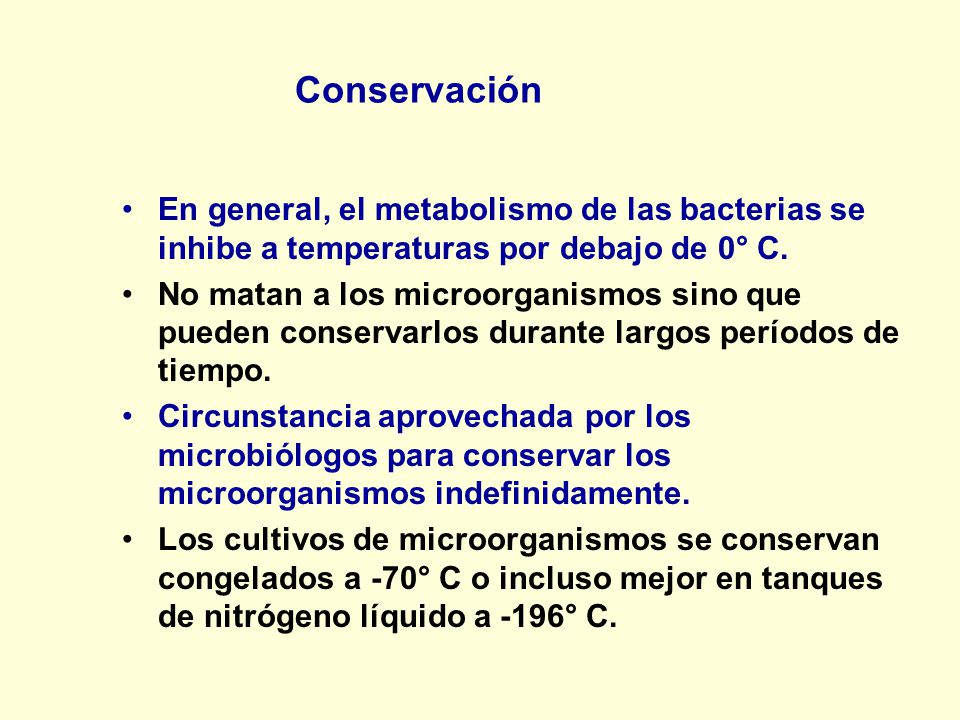 Conservación En general, el metabolismo de las bacterias se inhibe a temperaturas por debajo de 0° C.
