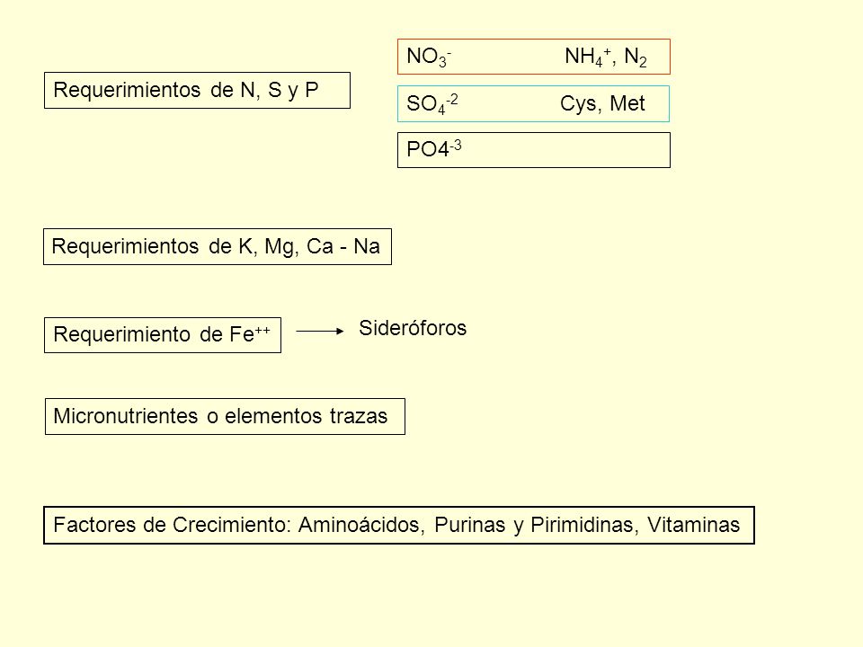 NO3- NH4+, N2 SO4-2 Cys, Met. PO4-3. Requerimientos de N, S y P.