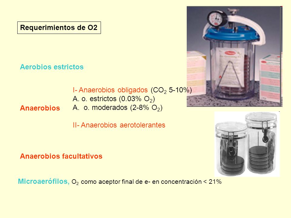 Requerimientos de O2 Aerobios estrictos. I- Anaerobios obligados (CO2 5-10%) A. o. estrictos (0.03% O2)