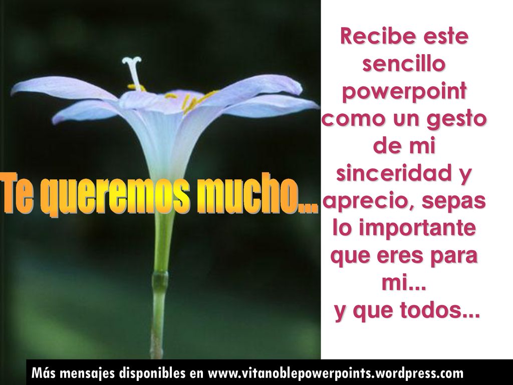 Recibe este sencillo powerpoint como un gesto de mi sinceridad y aprecio, sepas lo importante que eres para mi...
