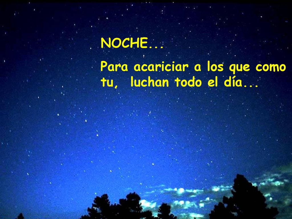 NOCHE... Para acariciar a los que como tu, luchan todo el día...