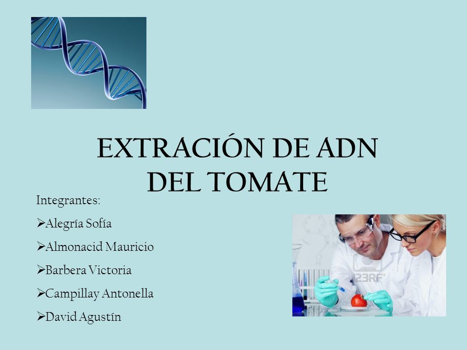 EXTRACIÓN DE ADN DEL TOMATE