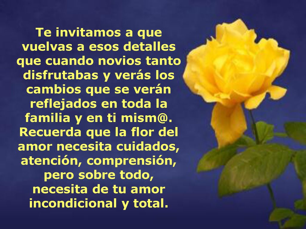 Te invitamos a que vuelvas a esos detalles que cuando novios tanto disfrutabas y verás los cambios que se verán reflejados en toda la familia y en ti