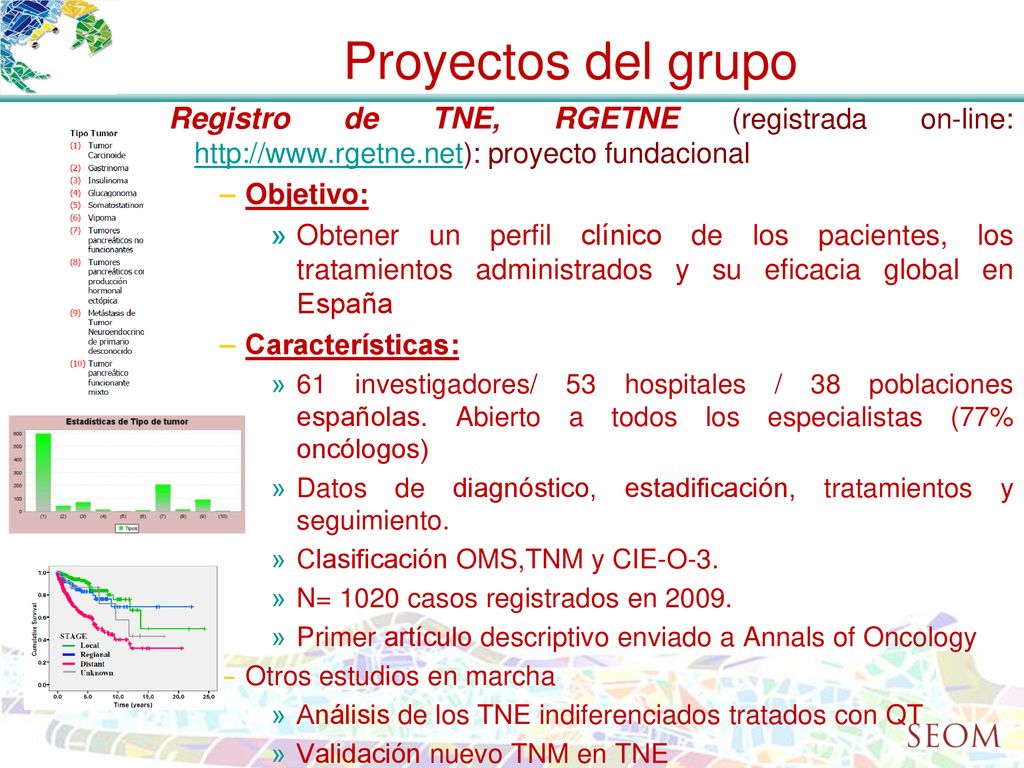Proyectos del grupo Registro de TNE, RGETNE (registrada on-line:   proyecto fundacional.