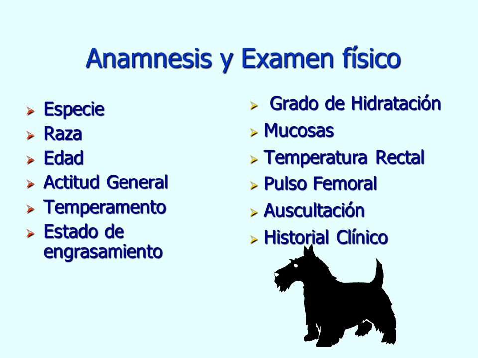 Anamnesis y Examen físico