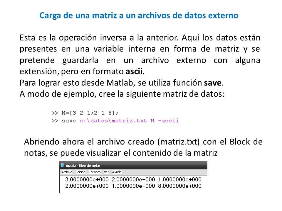 Carga de una matriz a un archivos de datos externo