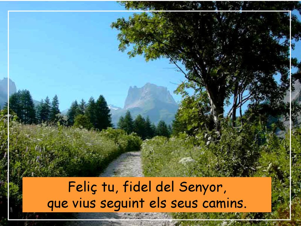 Feliç tu, fidel del Senyor, que vius seguint els seus camins.