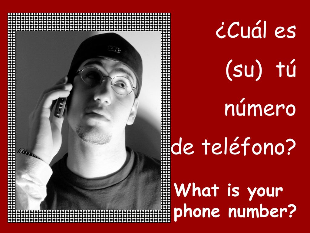 ¿Cuál es (su) tú número de teléfono What is your phone number