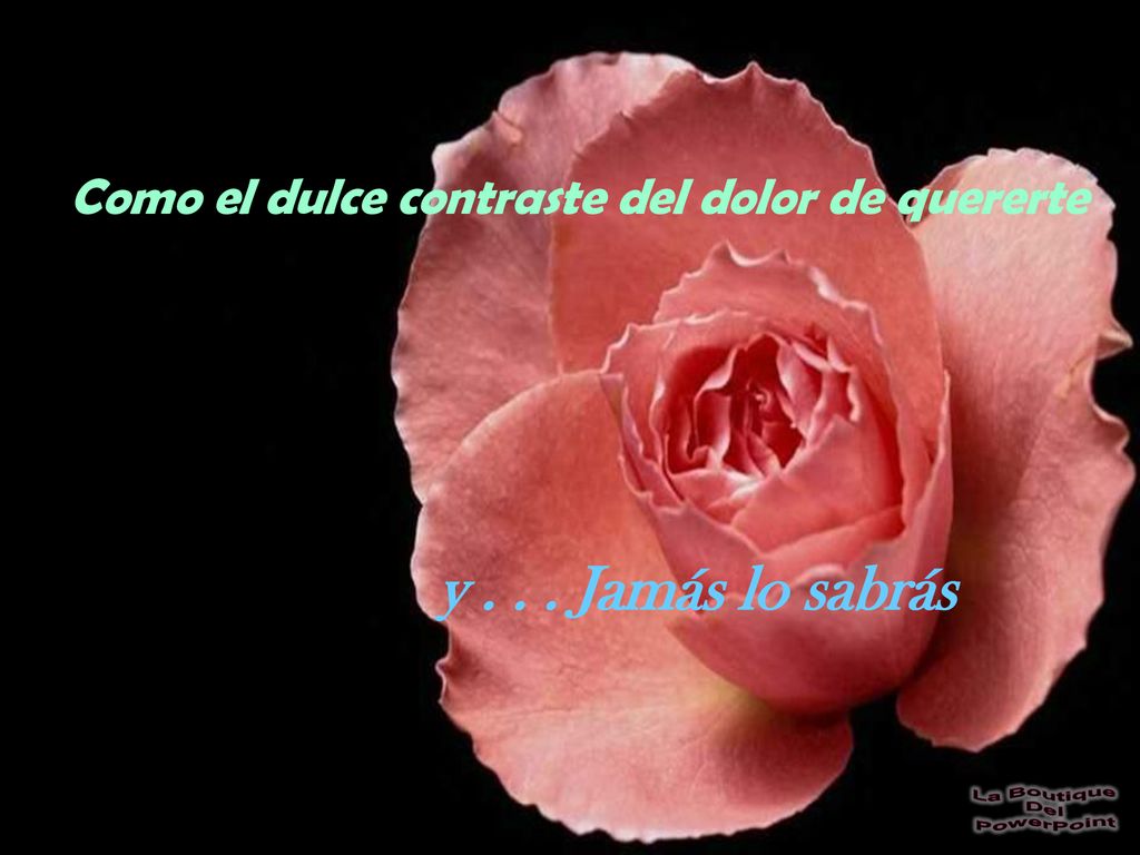 y Jamás lo sabrás Como el dulce contraste del dolor de quererte