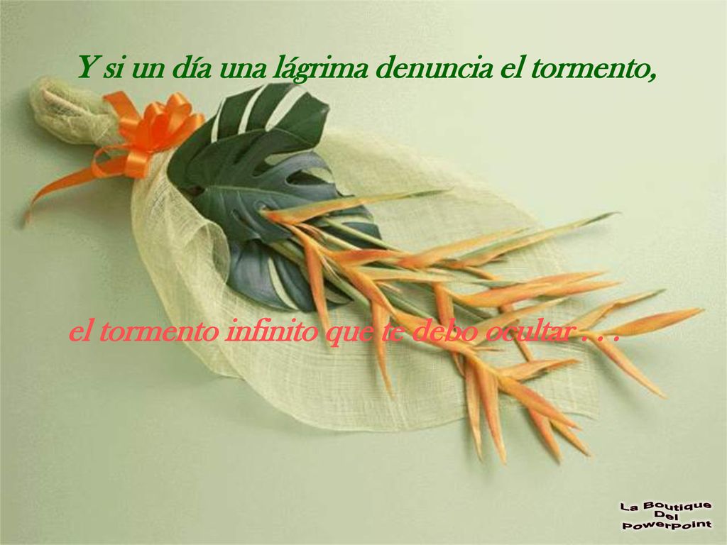 Y si un día una lágrima denuncia el tormento,