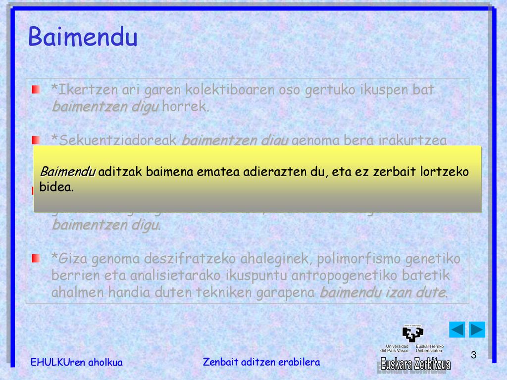 Baimendu *Ikertzen ari garen kolektiboaren oso gertuko ikuspen bat baimentzen digu horrek.