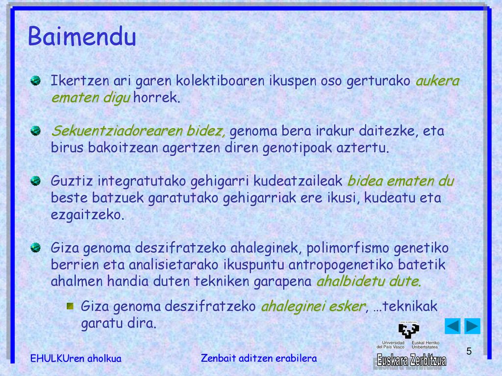 Baimendu Ikertzen ari garen kolektiboaren ikuspen oso gerturako aukera ematen digu horrek.