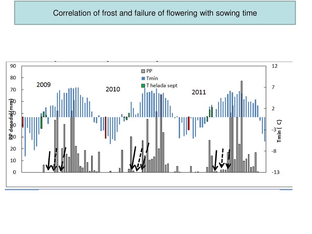Correlation of frost and failure of flowering with sowing time