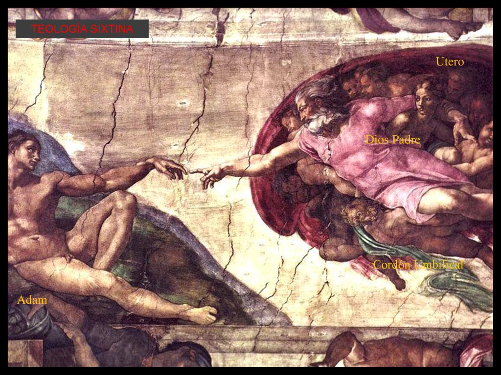 TEOLOGÍA SIXTINA Utero Dios Padre Cordón Umbilical Adam
