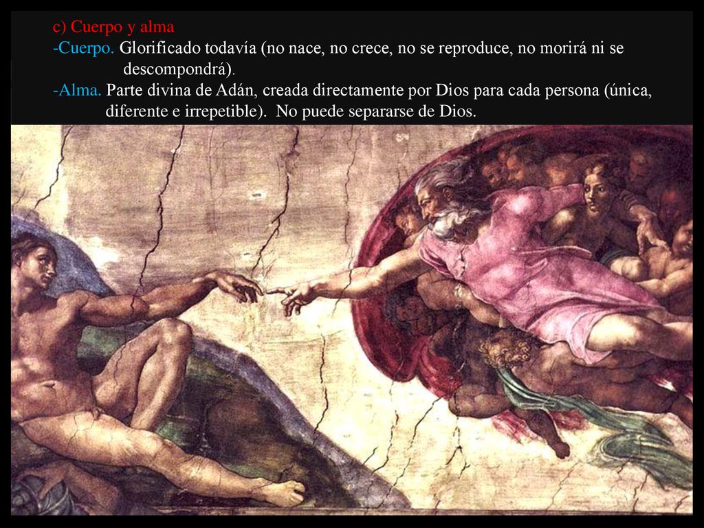 c) Cuerpo y alma -Cuerpo. Glorificado todavía (no nace, no crece, no se reproduce, no morirá ni se.