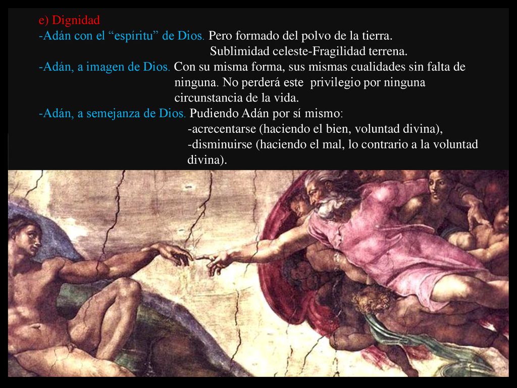 e) Dignidad -Adán con el espíritu de Dios. Pero formado del polvo de la tierra. Sublimidad celeste-Fragilidad terrena.