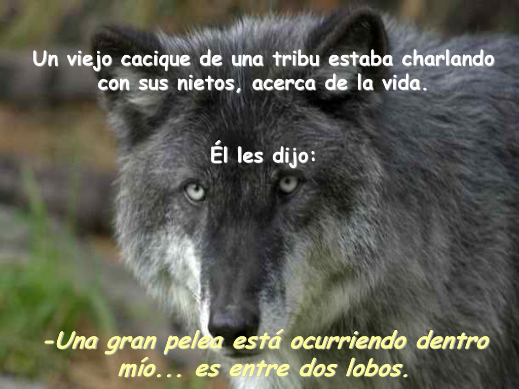-Una gran pelea está ocurriendo dentro mío... es entre dos lobos.