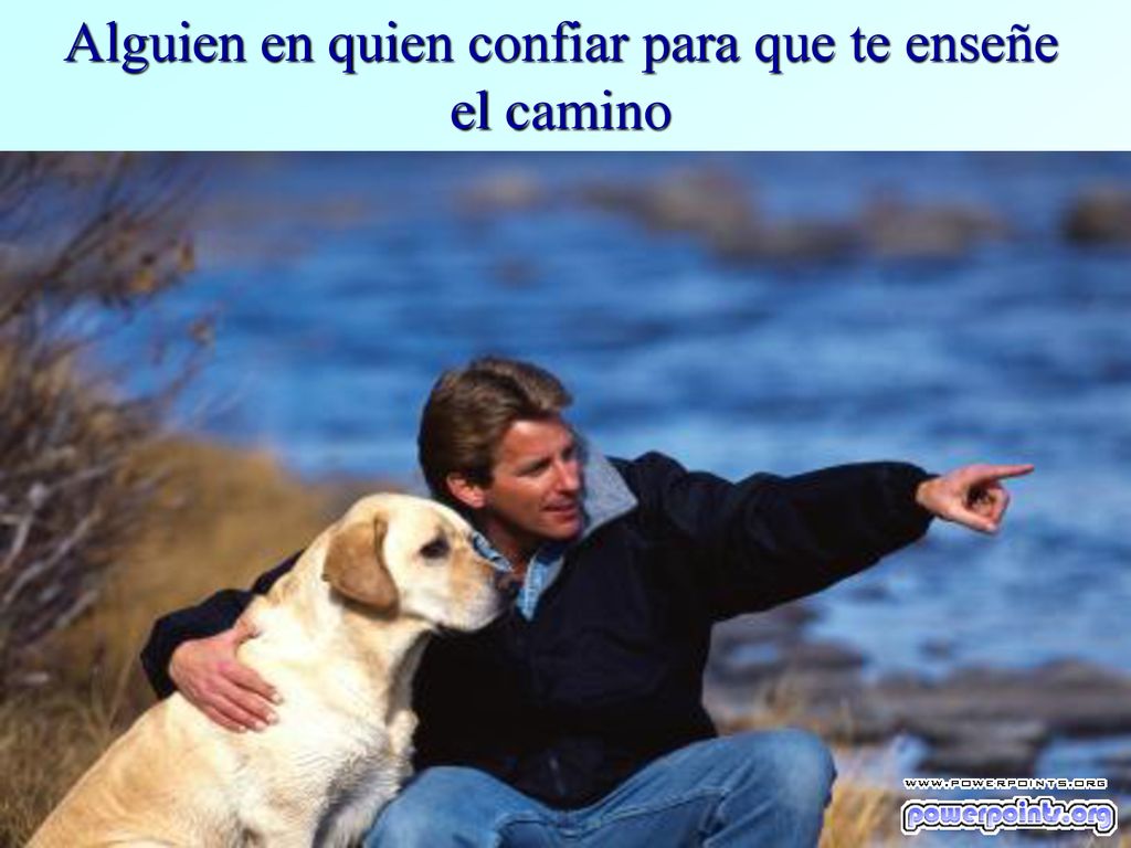 Alguien en quien confiar para que te enseñe el camino