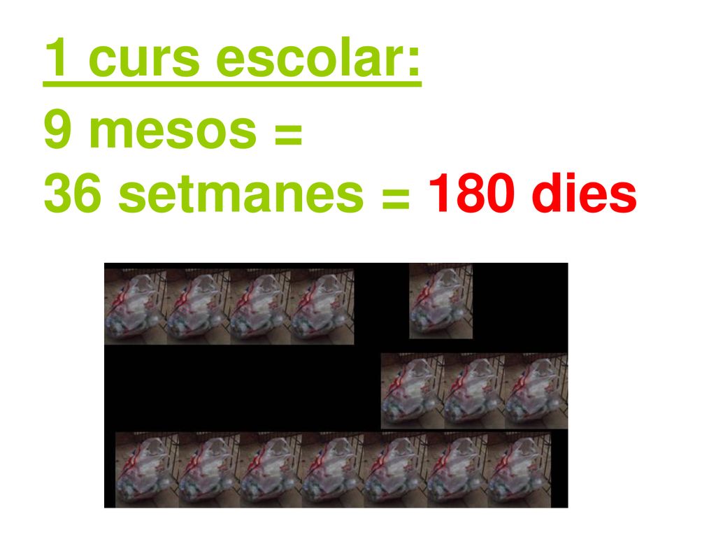 1 curs escolar: 9 mesos = 36 setmanes = 180 dies