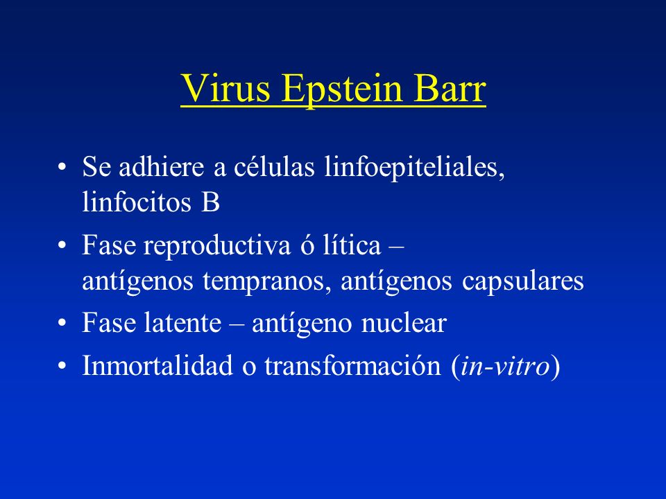 Virus Epstein Barr Se adhiere a células linfoepiteliales, linfocitos B