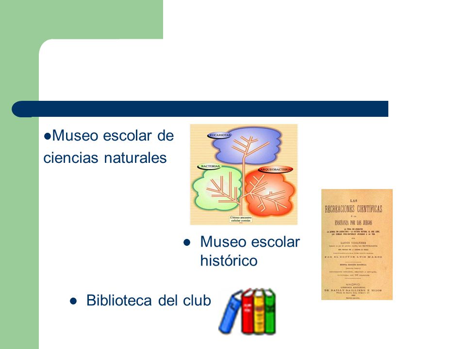 Museo escolar de ciencias naturales Museo escolar histórico Biblioteca del club