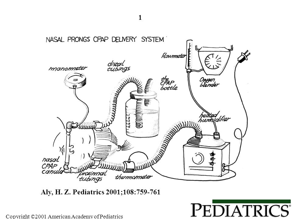 1 Aly, H. Z. Pediatrics 2001;108: Copyright ©2001 American Academy of Pediatrics