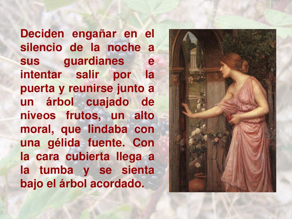 Deciden engañar en el silencio de la noche a sus guardianes e intentar salir por la puerta y reunirse junto a un árbol cuajado de níveos frutos, un alto moral, que lindaba con una gélida fuente.