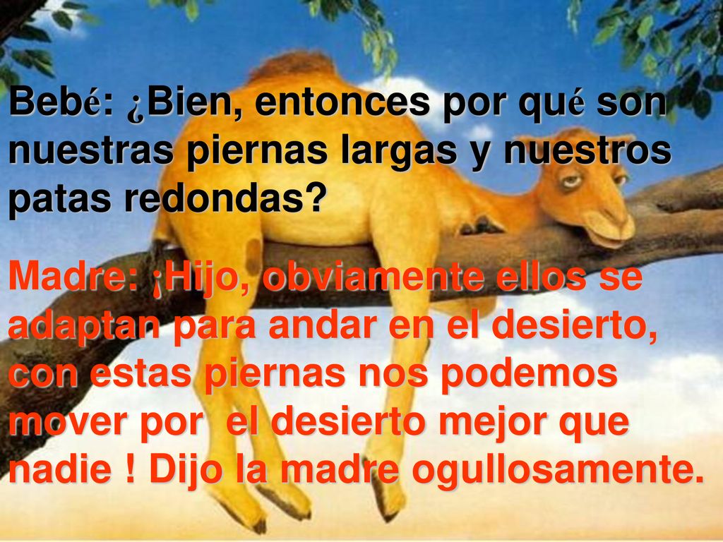 Bebé: ¿Bien, entonces por qué son nuestras piernas largas y nuestros patas redondas