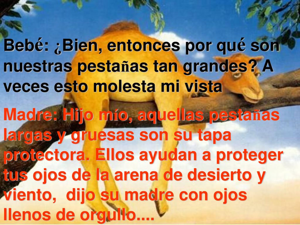Bebé: ¿Bien, entonces por qué son nuestras pestañas tan grandes