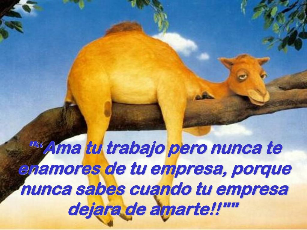 Ama tu trabajo pero nunca te enamores de tu empresa, porque nunca sabes cuando tu empresa dejara de amarte!!