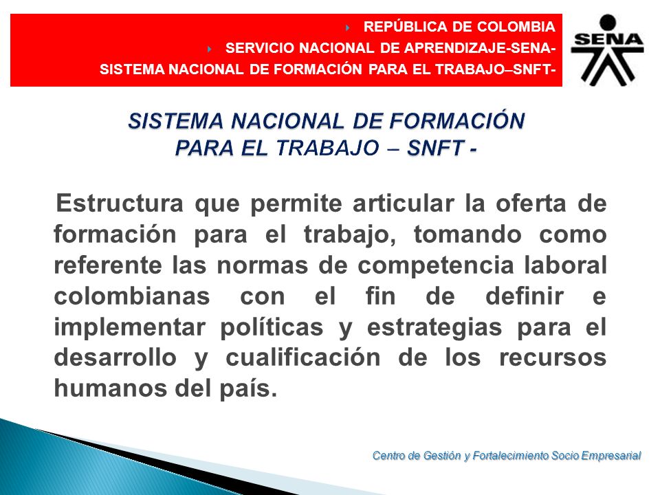 SISTEMA NACIONAL DE FORMACIÓN