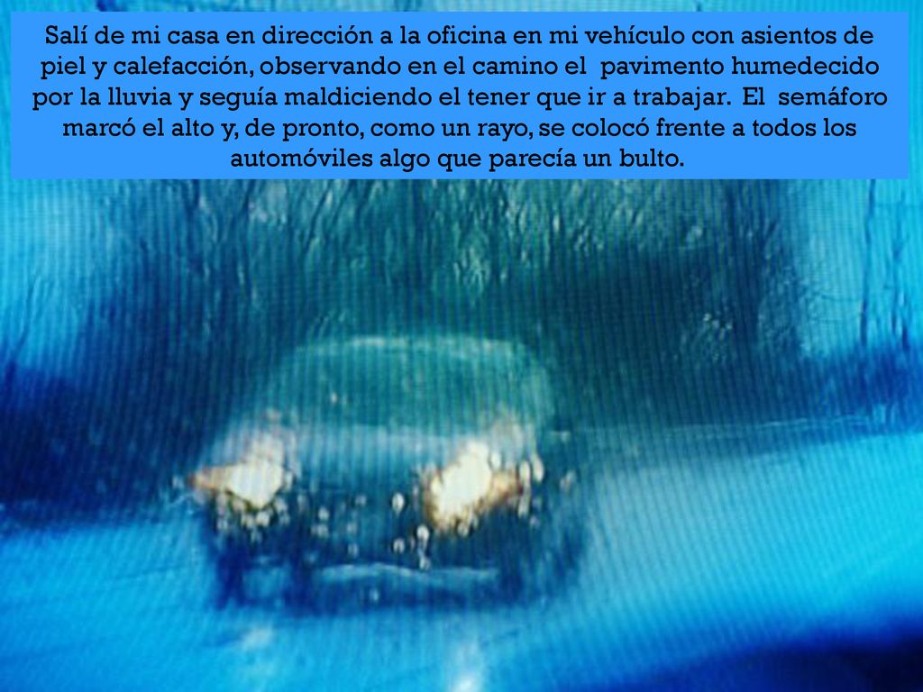 Salí de mi casa en dirección a la oficina en mi vehículo con asientos de piel y calefacción, observando en el camino el pavimento humedecido por la lluvia y seguía maldiciendo el tener que ir a trabajar. El semáforo marcó el alto y, de pronto, como un rayo, se colocó frente a todos los automóviles algo que parecía un bulto.