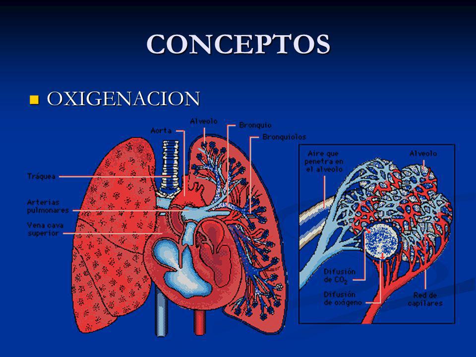 CONCEPTOS OXIGENACION