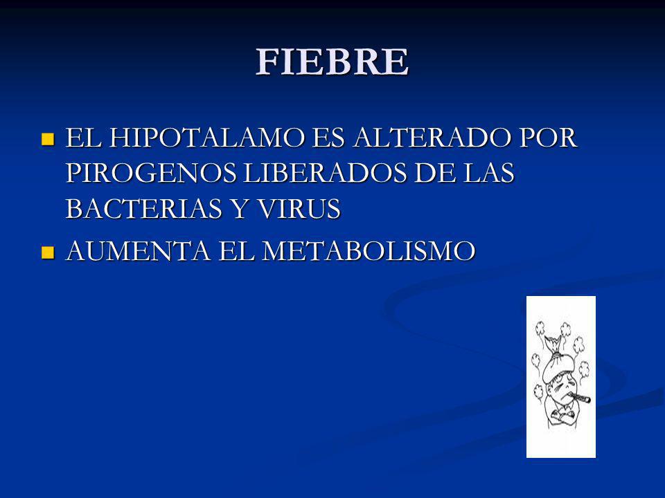 FIEBRE EL HIPOTALAMO ES ALTERADO POR PIROGENOS LIBERADOS DE LAS BACTERIAS Y VIRUS.