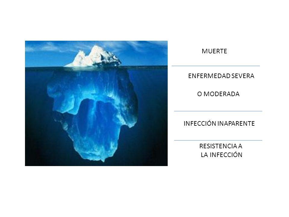MUERTE ENFERMEDAD SEVERA O MODERADA INFECCIÓN INAPARENTE RESISTENCIA A LA INFECCIÓN