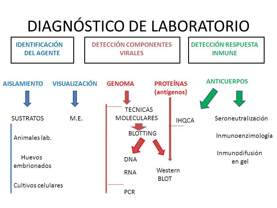 DIAGNÓSTICO DE LABORATORIO