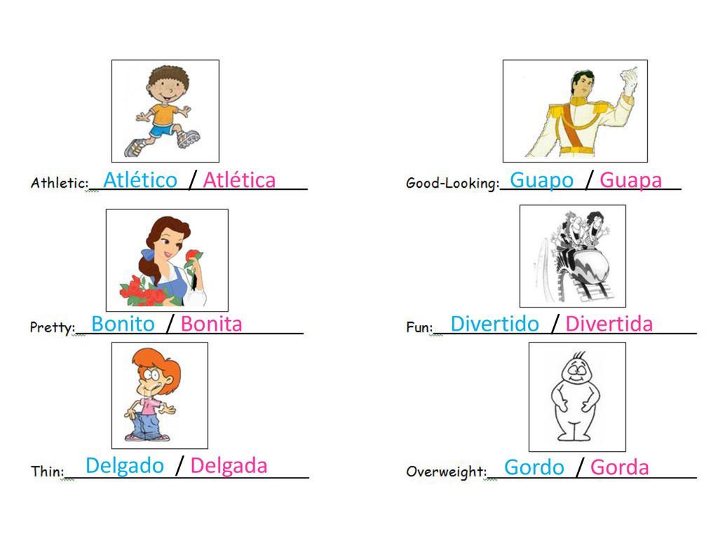 Atlético / Atlética Guapo / Guapa. Bonito / Bonita. Divertido / Divertida. Delgado / Delgada.