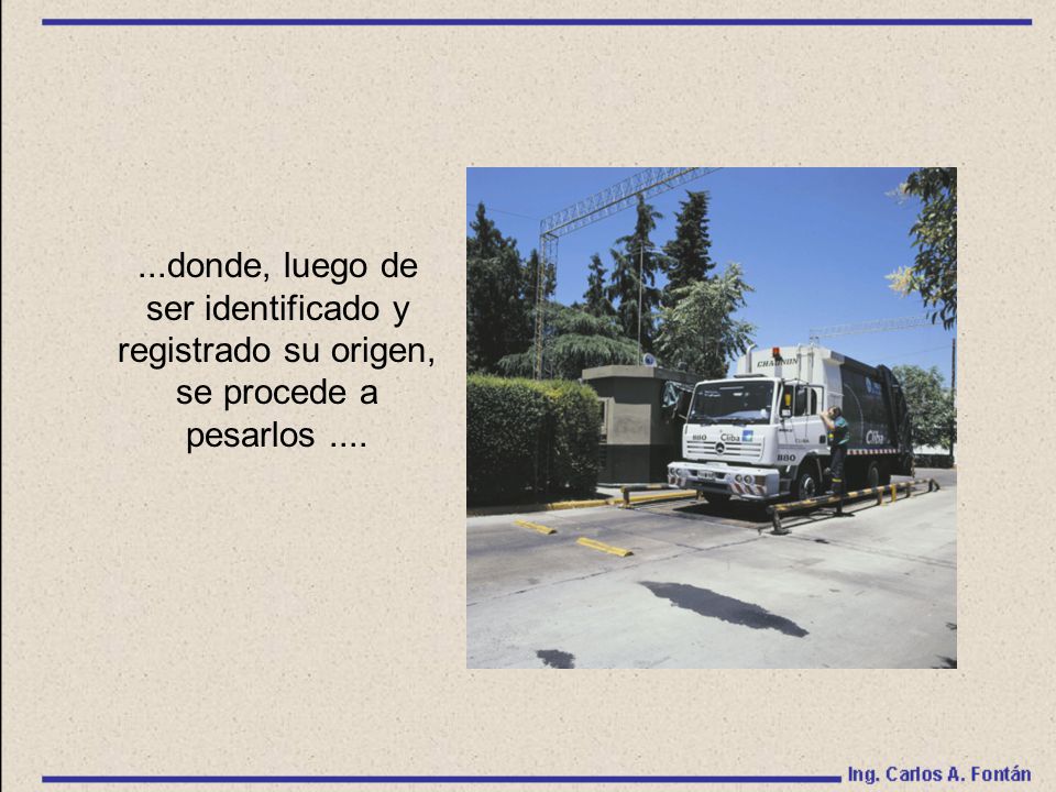 ...donde, luego de ser identificado y registrado su origen, se procede a pesarlos ....
