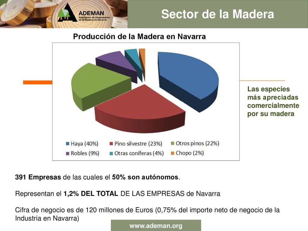 Sector de la Madera Producción de la Madera en Navarra