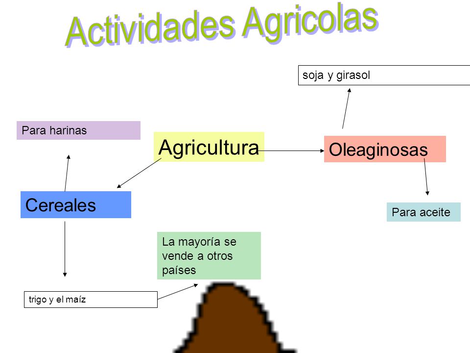 Actividades Agricolas