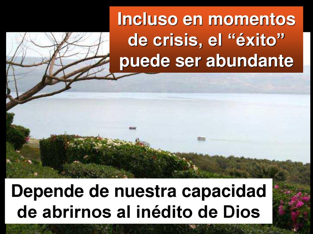 Incluso en momentos de crisis, el éxito puede ser abundante